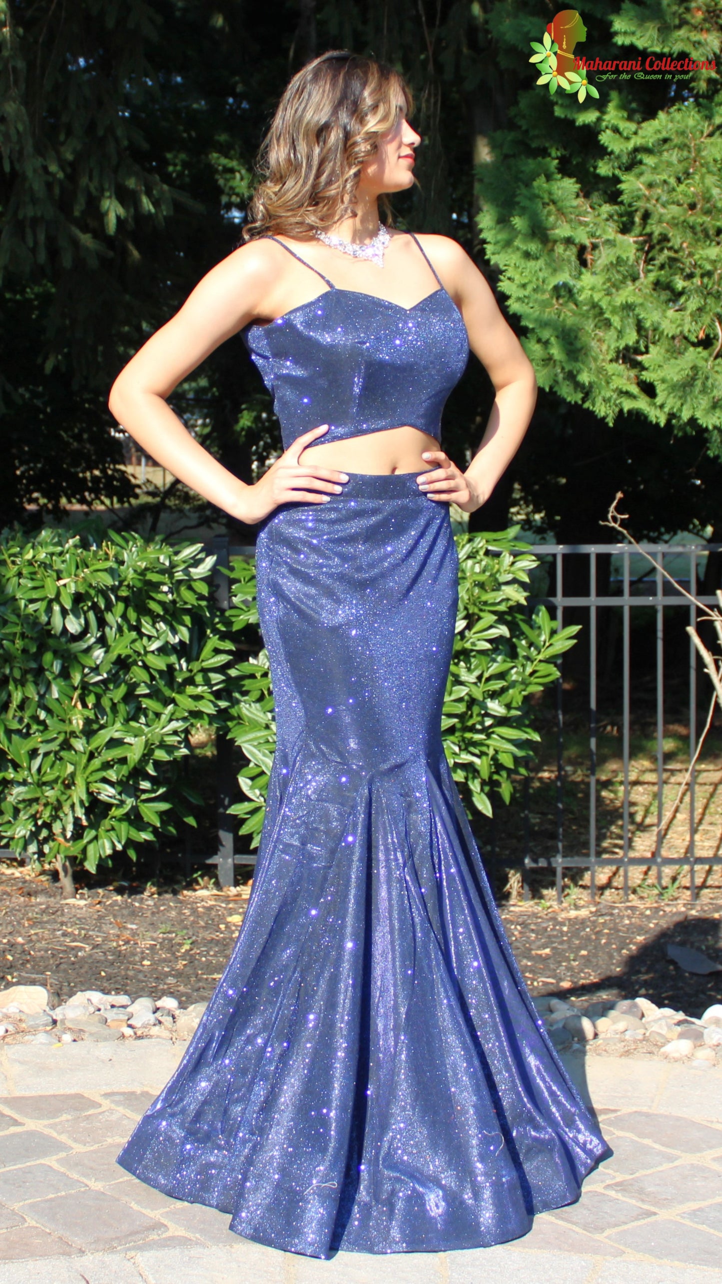 Maharani's Designer Mermaid Gala Gown - Navy Blue (M) with Glitter and Sequins Work
