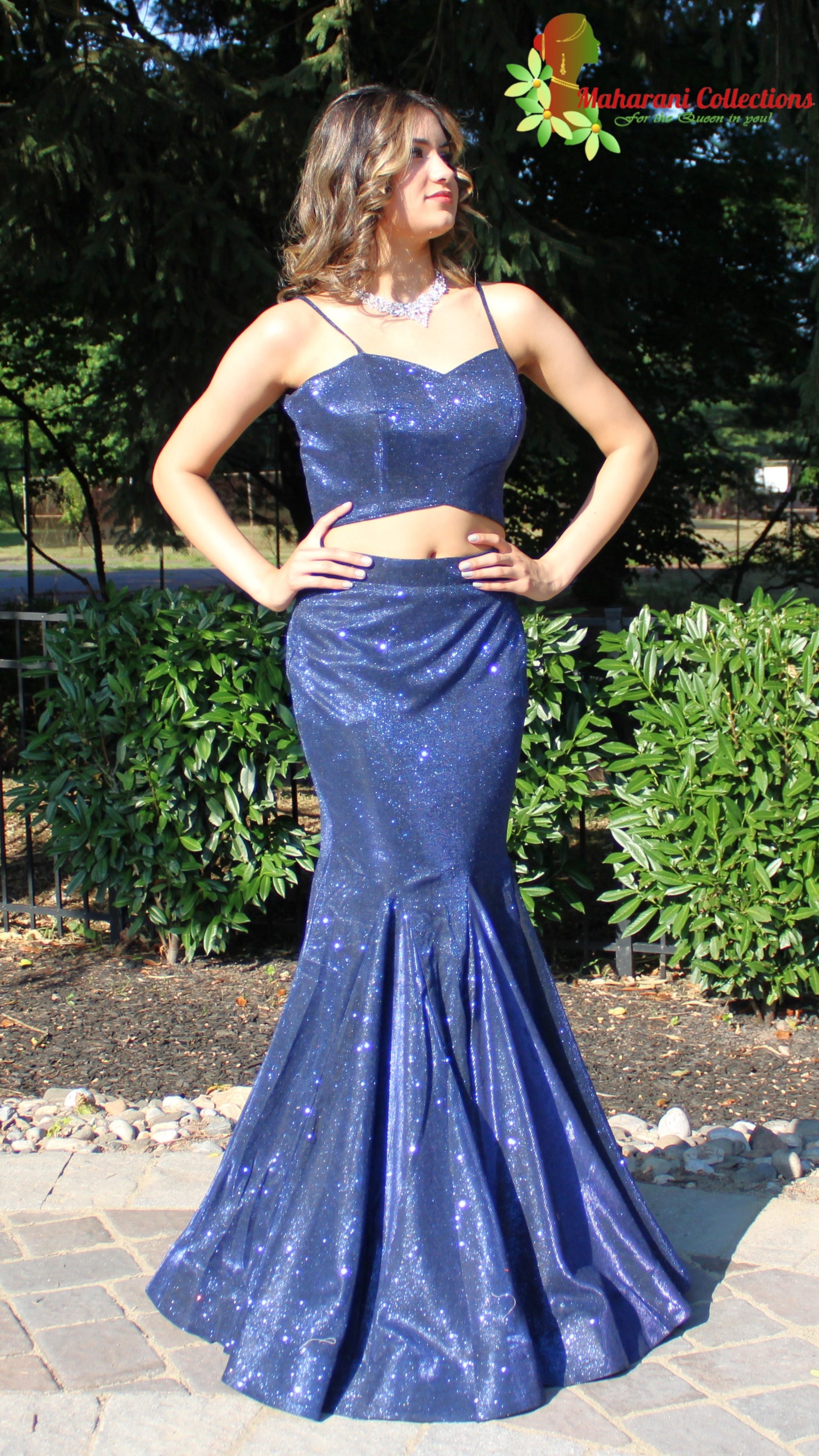 Maharani's Designer Mermaid Gala Gown - Navy Blue (M) with Glitter and Sequins Work