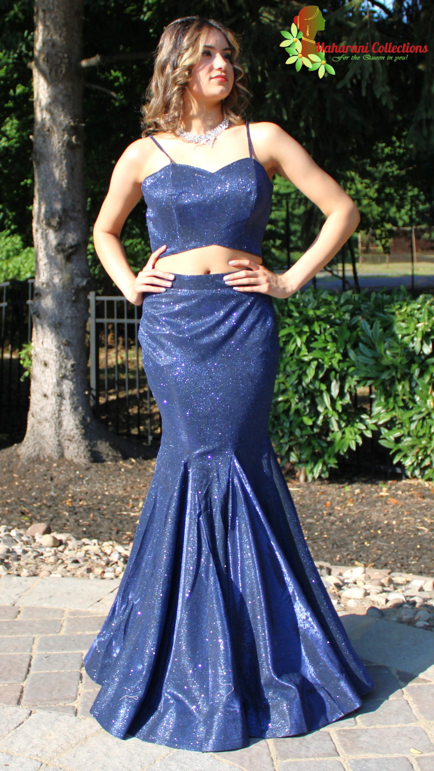 Maharani's Designer Mermaid Gala Gown - Navy Blue (M) with Glitter and Sequins Work
