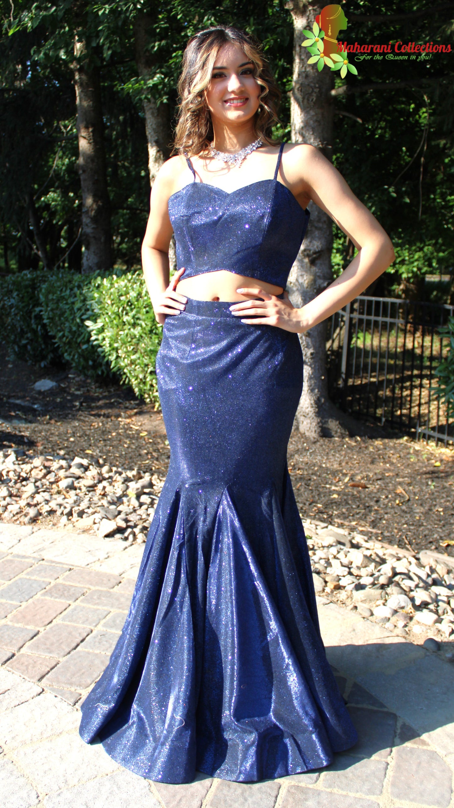 Maharani's Designer Mermaid Gala Gown - Navy Blue (M) with Glitter and Sequins Work