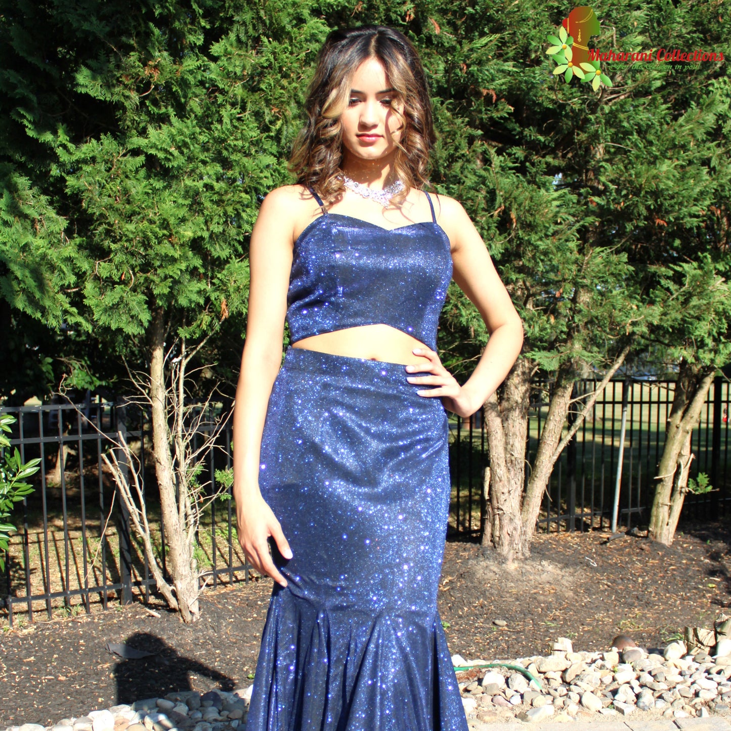 Maharani's Designer Mermaid Gala Gown - Navy Blue (M) with Glitter and Sequins Work