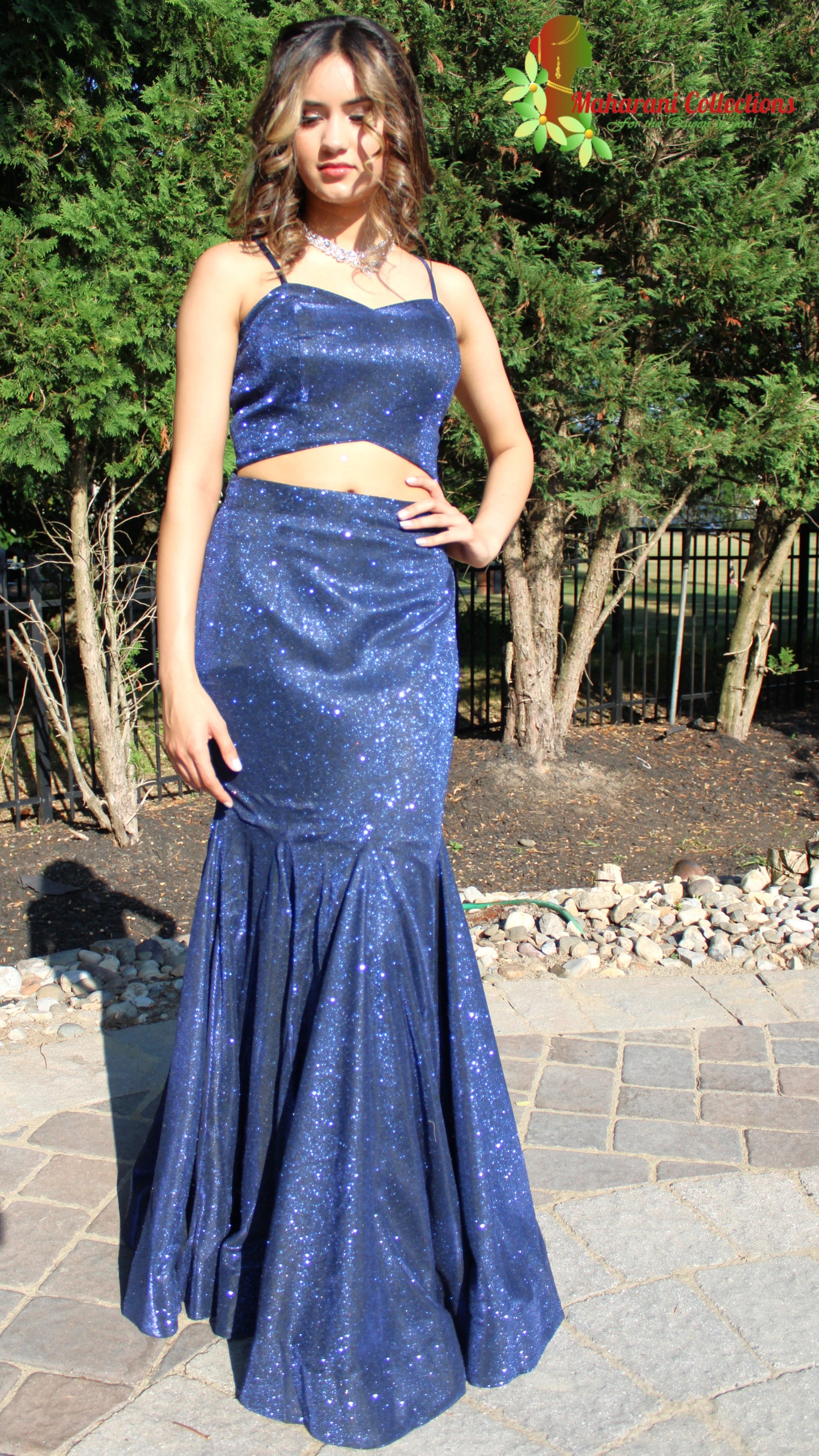 Maharani's Designer Mermaid Gala Gown - Navy Blue (M) with Glitter and Sequins Work
