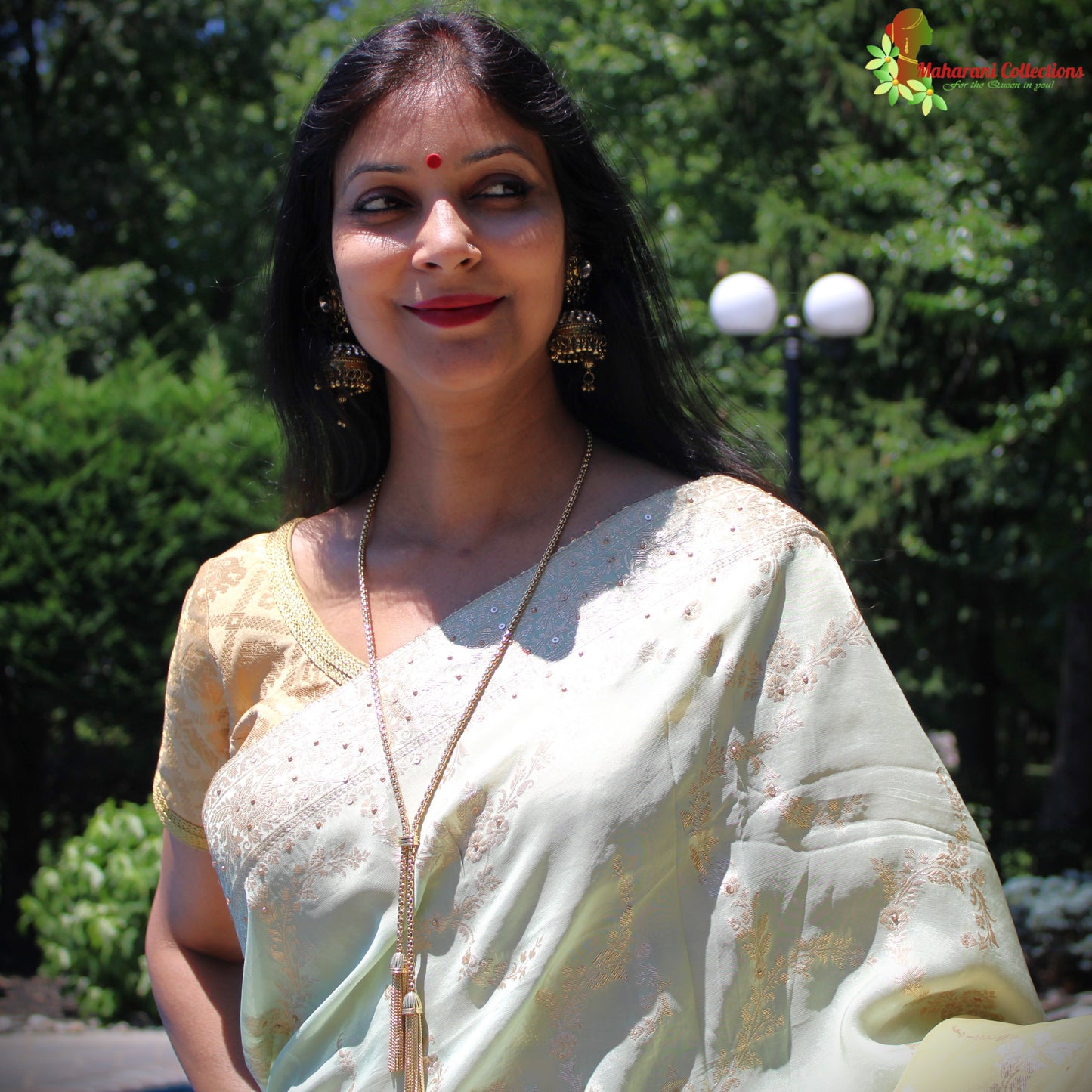 Maharani's Pure Banarasi Georgette Saree - Pista Green (with stitched Blouse and Petticoat)
