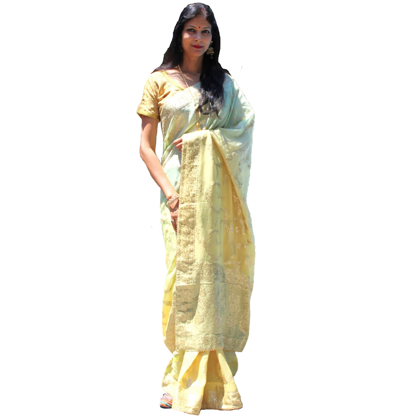 Maharani's Pure Banarasi Georgette Saree - Pista Green (with stitched Blouse and Petticoat)